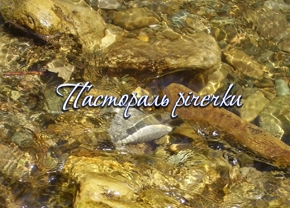 Пастораль річечки